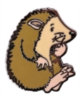 Hedgehog Character Pin Badge - Book