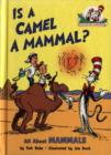 Is a Camel a Mammal? - Book