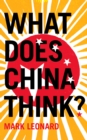 What Does China Think? - eBook