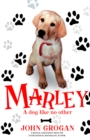 Marley : A Dog Like No Other - eBook