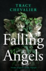 Falling Angels - eBook
