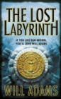 The Lost Labyrinth - eBook
