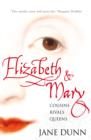 Elizabeth and Mary : Cousins, Rivals, Queens - eBook