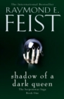 The Shadow of a Dark Queen - eBook