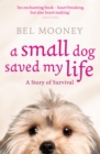 A Small Dog Saved My Life - eBook