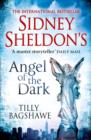Sidney Sheldon’s Angel of the Dark - Book