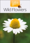 Wild Flowers - eBook
