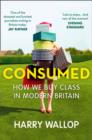 Consumed : How We Buy Class in Modern Britain - eBook