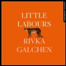 Little Labours - eAudiobook