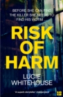Risk of Harm - eBook