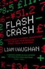 Flash Crash : A Trading Savant, a Global Manhunt and the Most Mysterious Market Crash in History - eBook