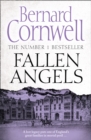 Fallen Angels - Book