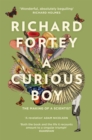 A Curious Boy : The Making of a Scientist - eBook