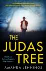 The Judas Tree - eBook