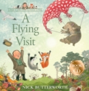 A Flying Visit : Book & CD - Book