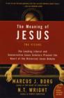 The Meaning of Jesus : Two Visions - Book