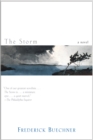 The Storm : A Novel - eBook
