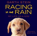 Racing in the Rain : My Life as a Dog - eAudiobook
