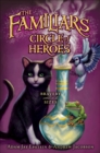 Circle of Heroes - eBook