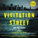 Visitation Street - eAudiobook