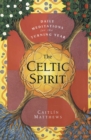 The Celtic Spirit: Daily Meditations for the Turning Year - Book
