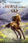 A Horse Named Sky - eBook