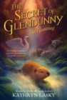 The Secret of Glendunny: The Haunting - Book