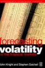 Forecasting Volatility in the Financial Markets - eBook