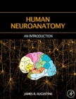 Human Neuroanatomy - eBook