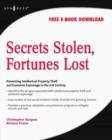 Secrets Stolen, Fortunes Lost : Preventing Intellectual Property Theft and Economic Espionage in the 21st Century - eBook