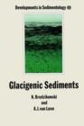 Glacigenic Sediments - eBook