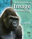 The Essential Guide to Image Processing - eBook