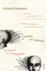 Looking For Spinoza : Joy, Sorrow and the Feeling Brain - Book