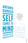 Self Comes to Mind : Constructing the Conscious Brain - Book