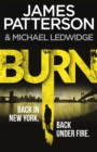 Burn : (Michael Bennett 7). Unbelievable reports of a murderous cult become terrifyingly real - Book