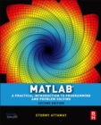 Matlab : A Practical Introduction to Programming and Problem Solving - eBook