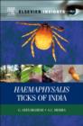 Haemaphysalis Ticks of India - eBook