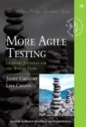 More Agile Testing : Learning Journeys for the Whole Team - eBook