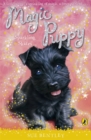 Magic Puppy: Sparkling Skates - Book