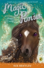 Magic Ponies: Pony Camp - Book