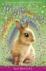 Magic Bunny: Holiday Dreams - Book