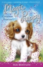 Magic Puppy: Classroom Princess - eBook