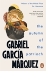 The Autumn of the Patriarch - eBook