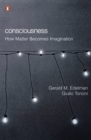 Consciousness : How Matter Becomes Imagination - eBook