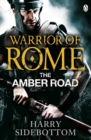 Warrior of Rome VI: The Amber Road - eBook
