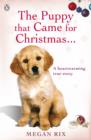 The Puppy that Came for Christmas and Stayed Forever - eBook