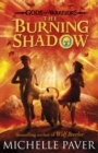 The Burning Shadow (Gods and Warriors Book 2) - eBook