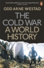 The Cold War : A World History - Book