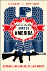 Guns across America : Reconciling Gun Rules and Rights - eBook