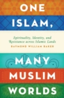 One Islam, Many Muslim Worlds : Spirituality, Identity, and Resistance across Islamic Lands - eBook